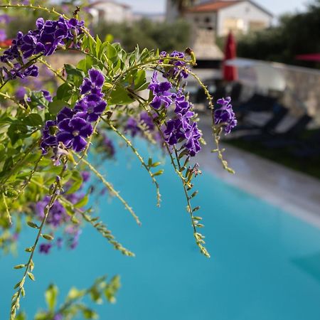 Villa Aqua Žaborić Kültér fotó