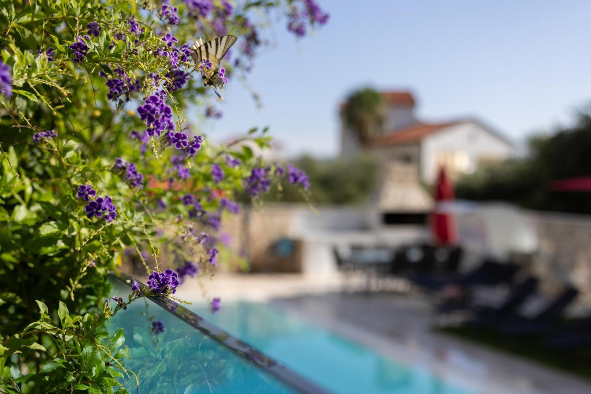 Villa Aqua Žaborić Kültér fotó